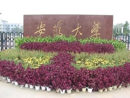 微信图片_20230616152725.jpg